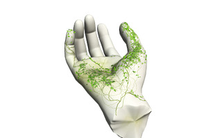 3DFoin - Animated Hand Statue