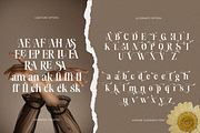 Aveline Eleganza, a Serif Font by saemoon creative (Thumbnail 11 of 13)