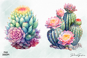 Cactus Watercolor Clipart Png, a Decorative Illustration by danishgraphics (Thumbnail 4 of 6)