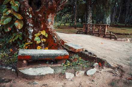 A stone bench and the road in a park, a Nature Photo by SkyNext