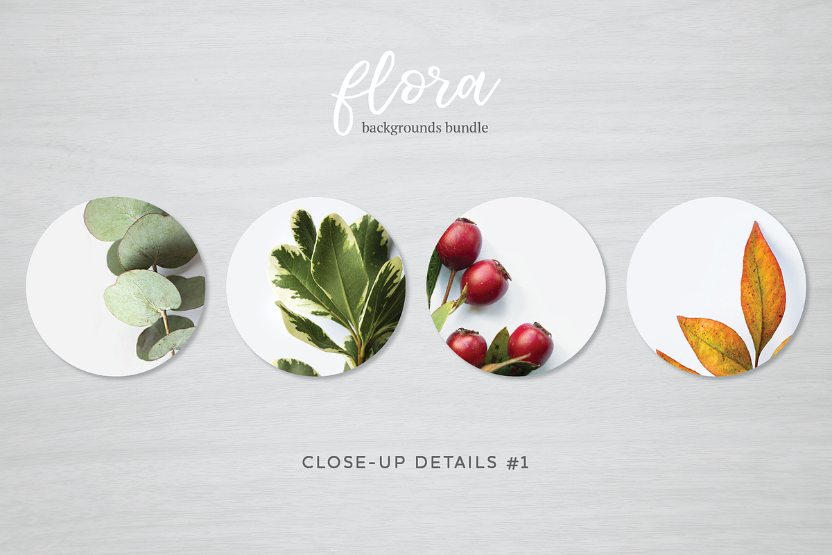 Flora Backgrounds Bundle, a Social Media Template by Julia Jane Creative (Photo 3 of 6)