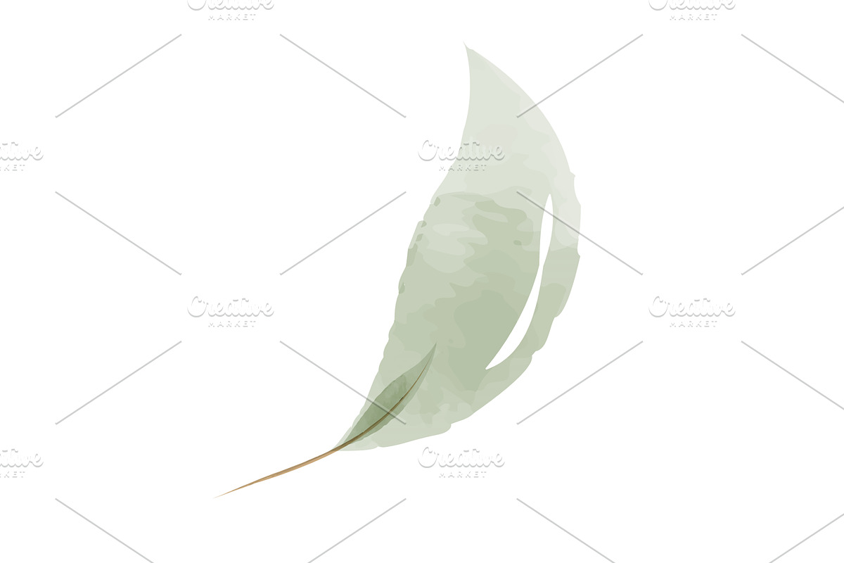 Delicate green watercolor leaf, an Object Illustration by okskukuruza