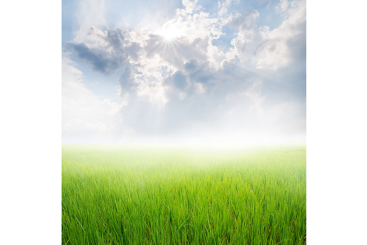 50 Fields background Set 01, a Texture Graphic by FWStudio (Photo 12 of 13)