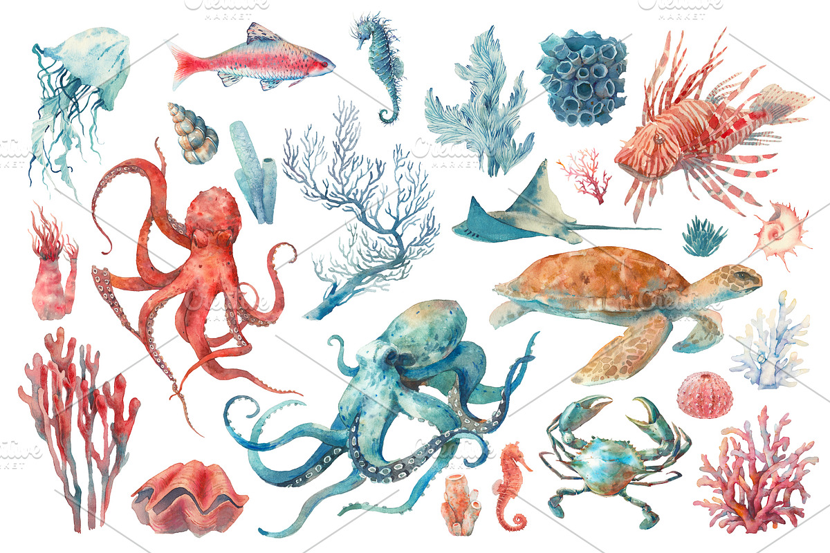 UNDERWATER watercolor collection, an Illustration by Eisfrei (Photo 3 of 7)
