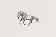 Sketch of a galloping horse, an Animal Illustration by TheMountBirdStudio (Thumbnail 3 of 4)