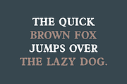 Castemire - Serif Typeface, a Serif Font by alpercakici (Thumbnail 7 of 13)