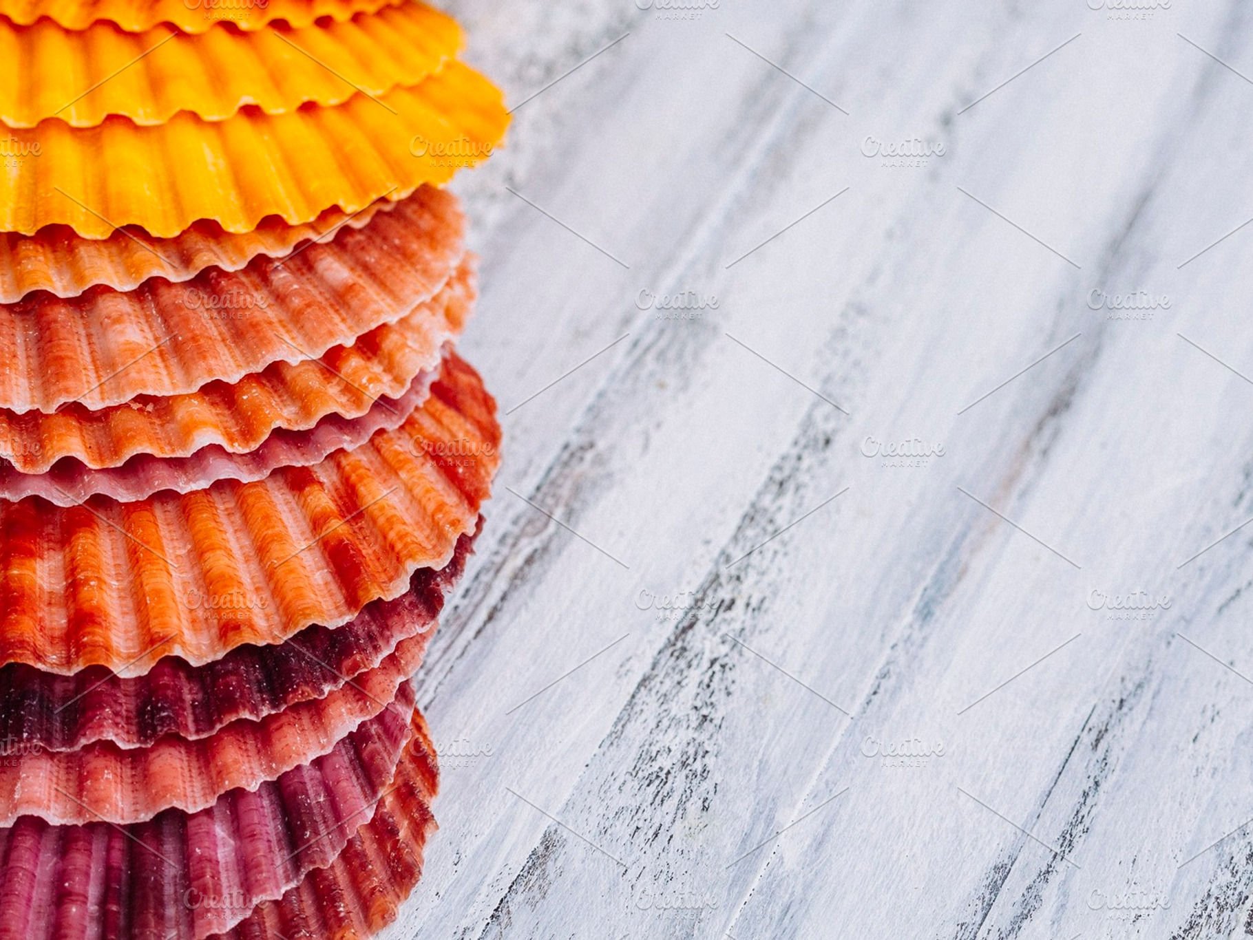 Colorful seashells containing background, sea, and shell, an Abstract Photo by LidiaP