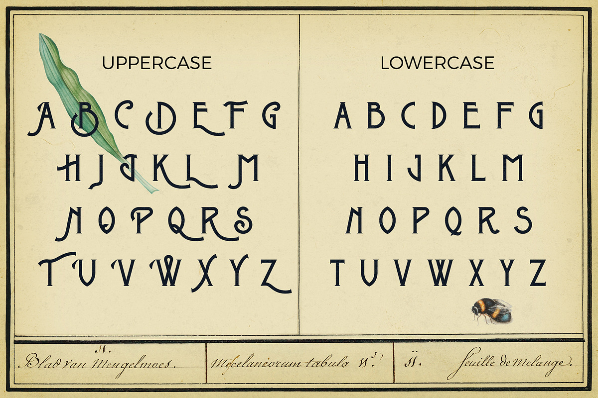 Metrobrew Vintage Typeface preview 3
