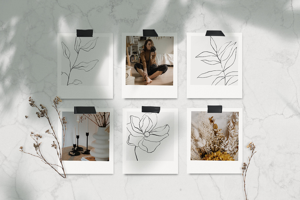 Botanical line art sketches, a Decorative Illustration by Madiwaso (Photo 2 of 6)
