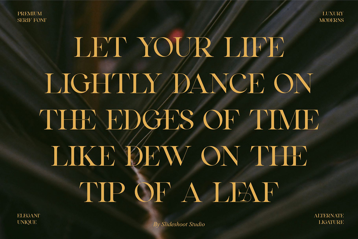 Qealiz || Elegant Serif Font, a Serif Font by Idea Studio (Photo 9 of 10)