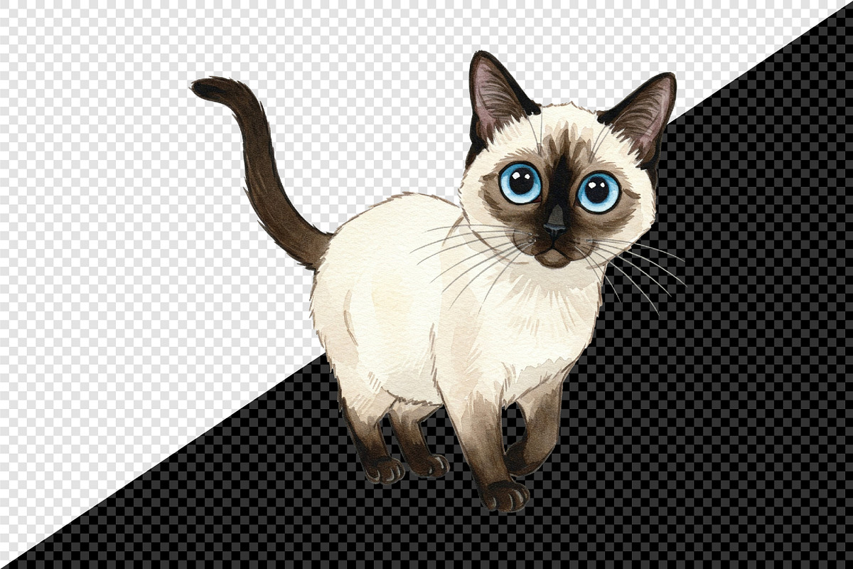 Watercolor Funny Quirky Cat Png, an Illustration by Creative Art (Photo 7 of 8)