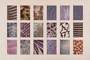Feral blur backgrounds, a Background Graphic by kondratya (Thumbnail 9 of 11)