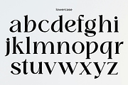 Domilla, a Serif Font by zaaintype (Thumbnail 5 of 12)