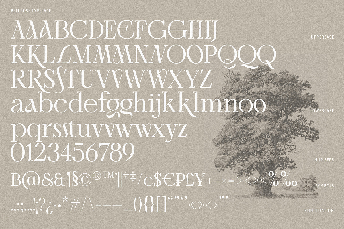 Bellrose Display Serif Font, a Serif Font by CarmineType (Photo 24 of 24)