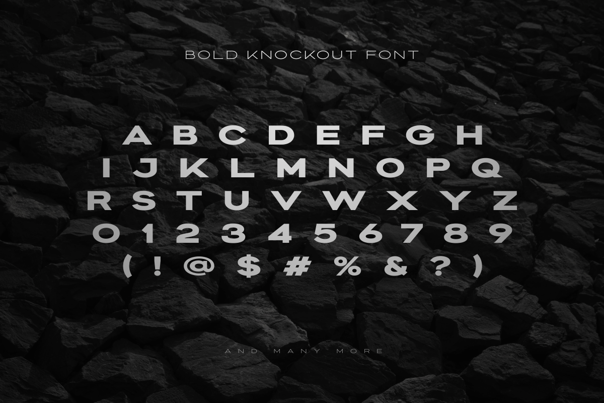 Knockout - Extended Font Family, a Sans Serif Font by Sensatype (Photo 23 of 25)