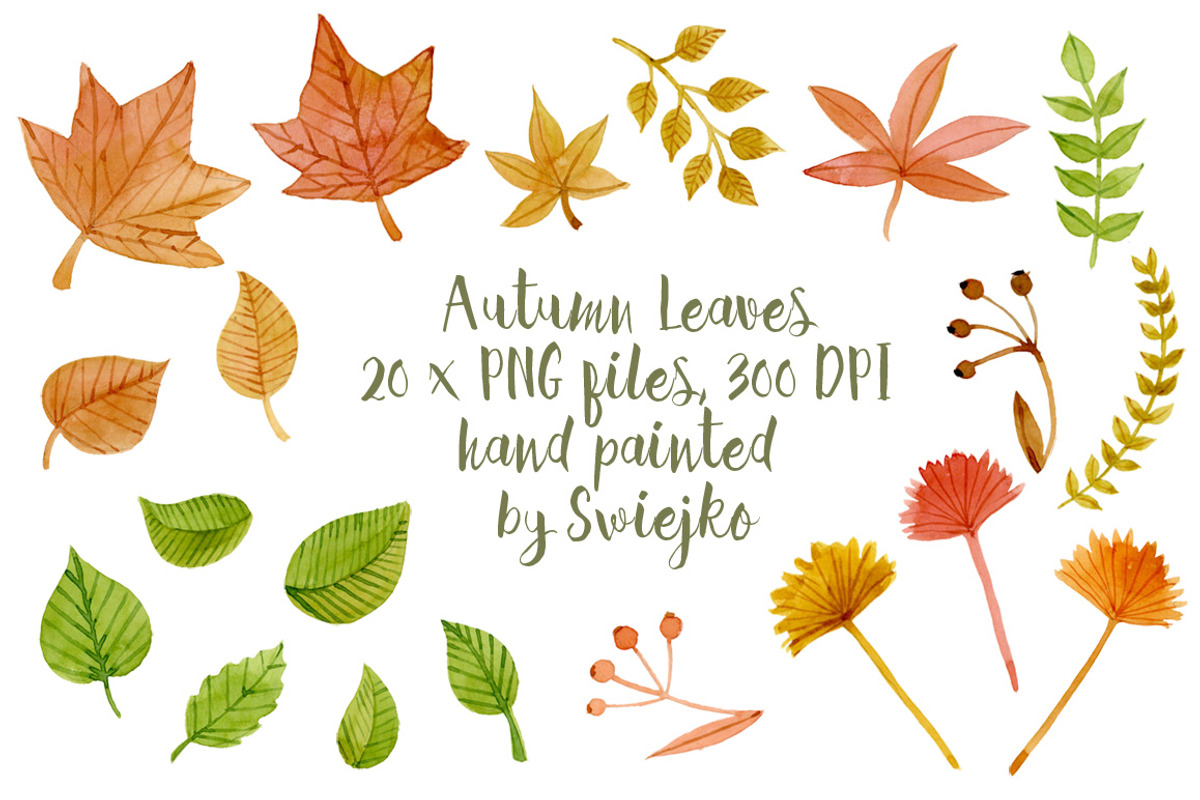 Autumn Leaves, clipart, an Illustration by swiejko