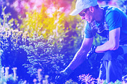 24 Color Grading Photoshop Action preview 5