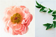 Instagram Styled Stock Square Photos, a Social Media Template by LaPorte Images (Thumbnail 18 of 19)