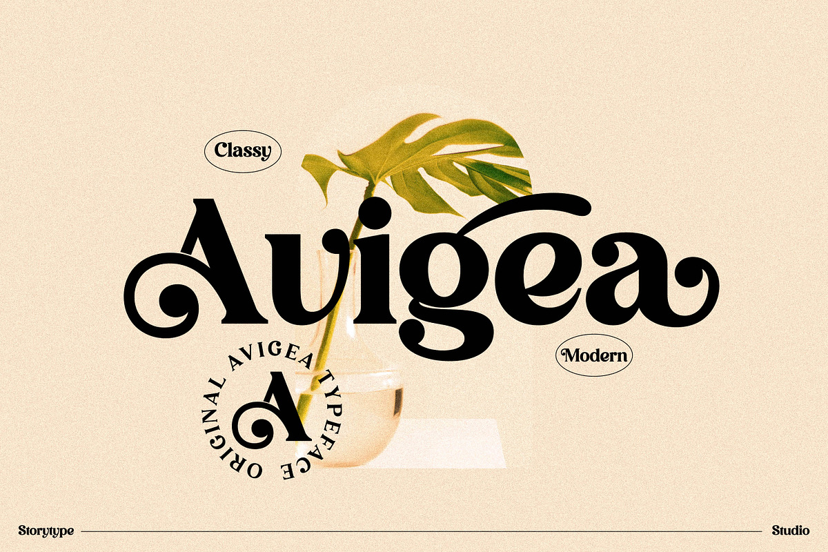 Avigea Modern Serif Font Display, a Script Font by Storytype Studio (Photo 1 of 10)