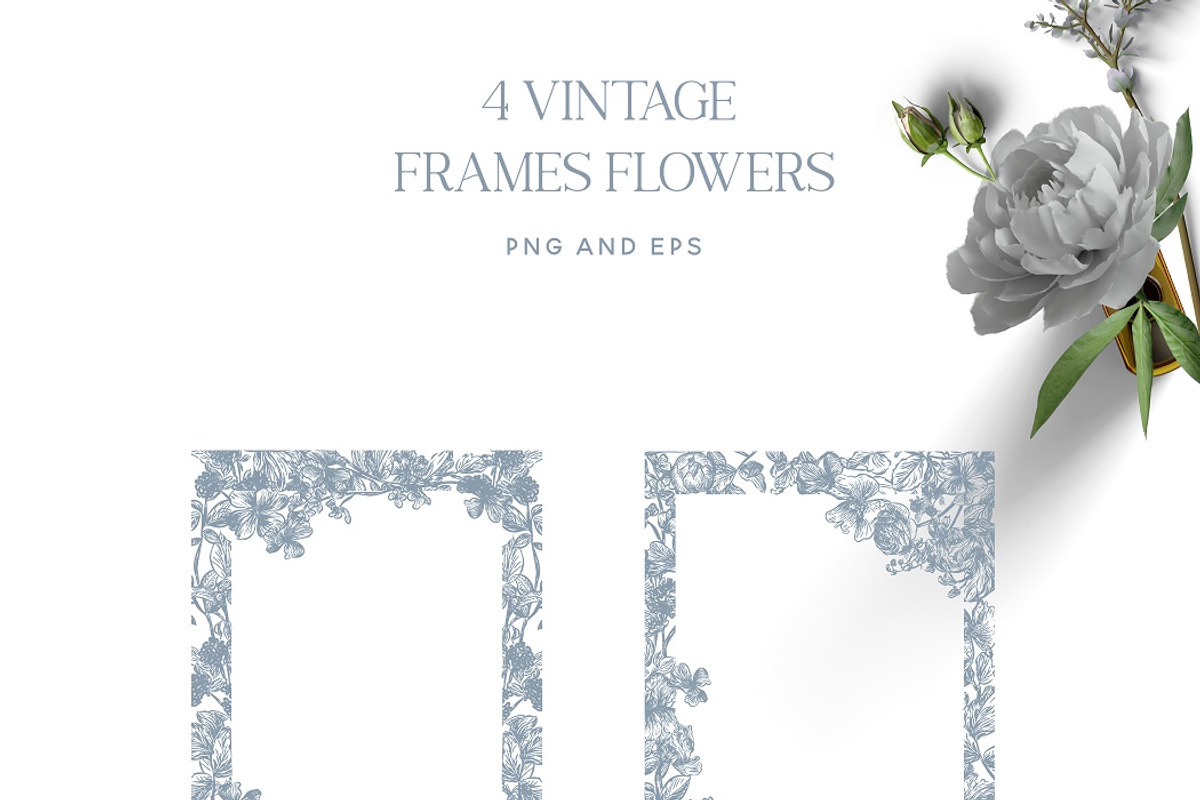 Vintage Line Art Flowers clipart, a Decorative Illustration by BlumenSoul (Photo 5 of 10)