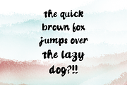 Foxie Gal Handwritten Script Font, a Script Font by Blynn Pippen (Thumbnail 6 of 10)