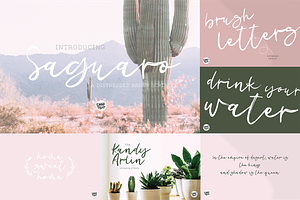 DESERT DREAMS Lettered Font Bundle