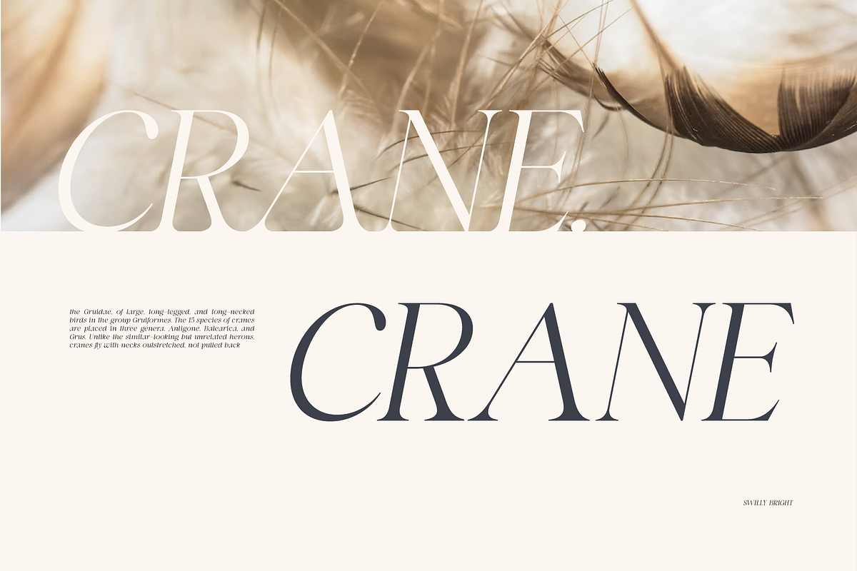Swily Bright | Classy Font, a Serif Font by Jolicia Type (Photo 6 of 11)
