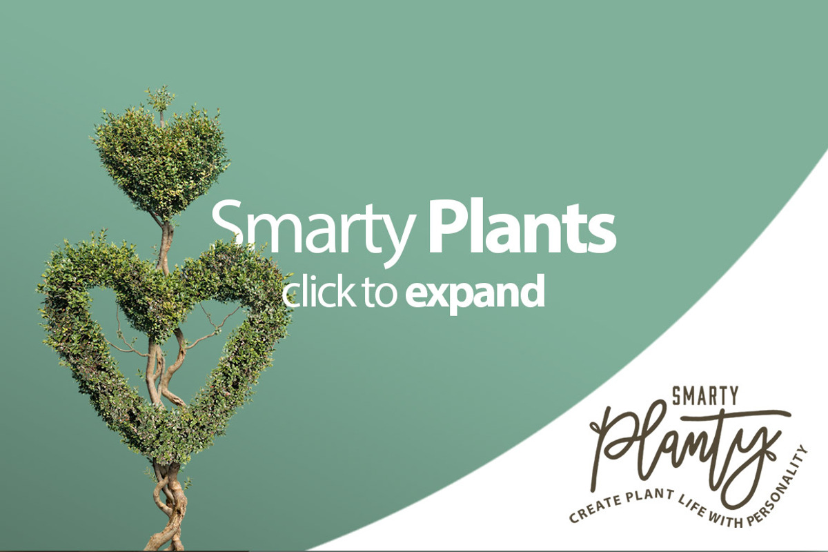 Smarty Planty - Plant life creator, a Product Mockup by envirographic (Photo 10 of 24)