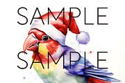 Christmas Australian Native Birds, a Seasonal Illustration by Pawcasso's Portraits (Thumbnail 9 of 9)