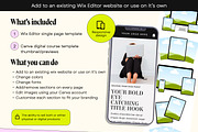 Minimal Faceless Sales Page, a Wix Template by Template Twist Shop (Thumbnail 4 of 10)