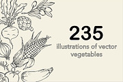 Vector vegetables, an Illustration by risovanya (Thumbnail 1 of 9)
