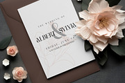 Caviary - Display serif font, a Serif Font by Almeera Std (Thumbnail 7 of 8)