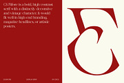 CS Bifore – Classic Serif Font, a Serif Font by Craft Supply Co. (Thumbnail 4 of 8)