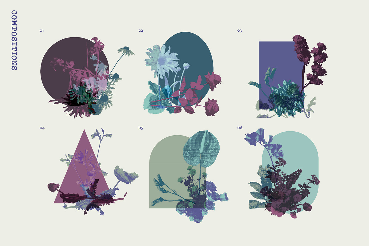 Printed Botanical Graphics, an Object Graphic by Neatly Made Studio (Photo 13 of 17)