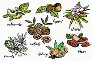 Nuts and snacks, a Food Illustration by Ann Astro (Thumbnail 11 of 24)