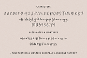 Caramel Creme Script, a Handwritten Font by Beck McCormick (Thumbnail 10 of 10)