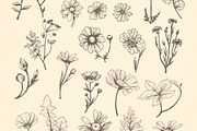 Vintage Bundle- 250 vector elements, an Object Graphic by TatianaCociorva (Thumbnail 5 of 19)