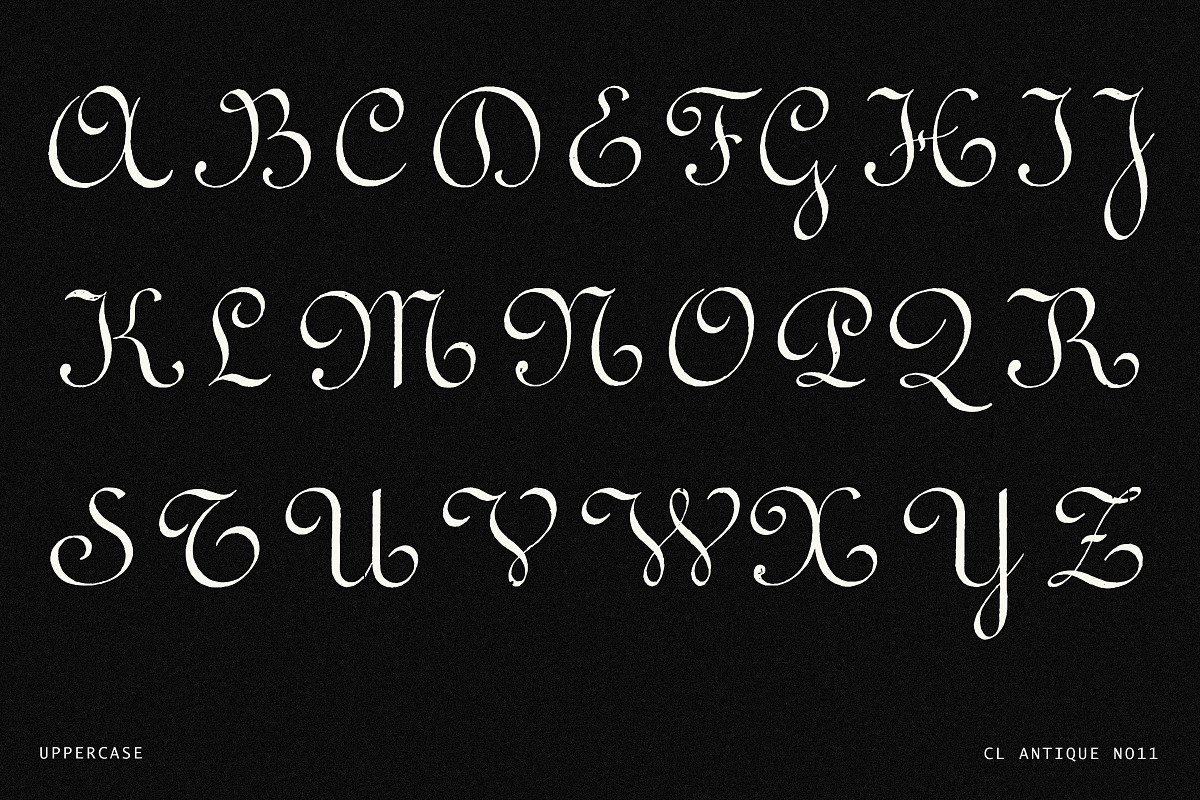 Elegant Vintage Calligraphy Font, a Script Font by Century Library (Photo 3 of 7)