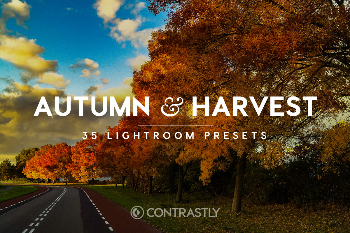 Autumn & Harvest LR Presets Vol.1, an Action Add-On by Contrastly Shop (Photo 1 of 4)