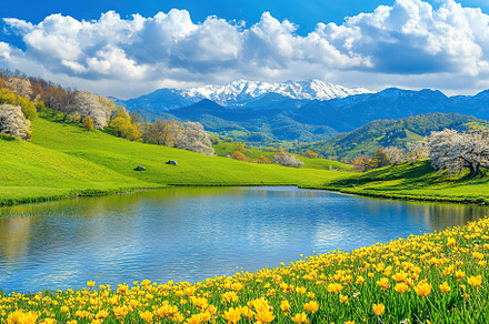 Spring meadow landscape near the lake, a Nature Photo by AlyaAnd