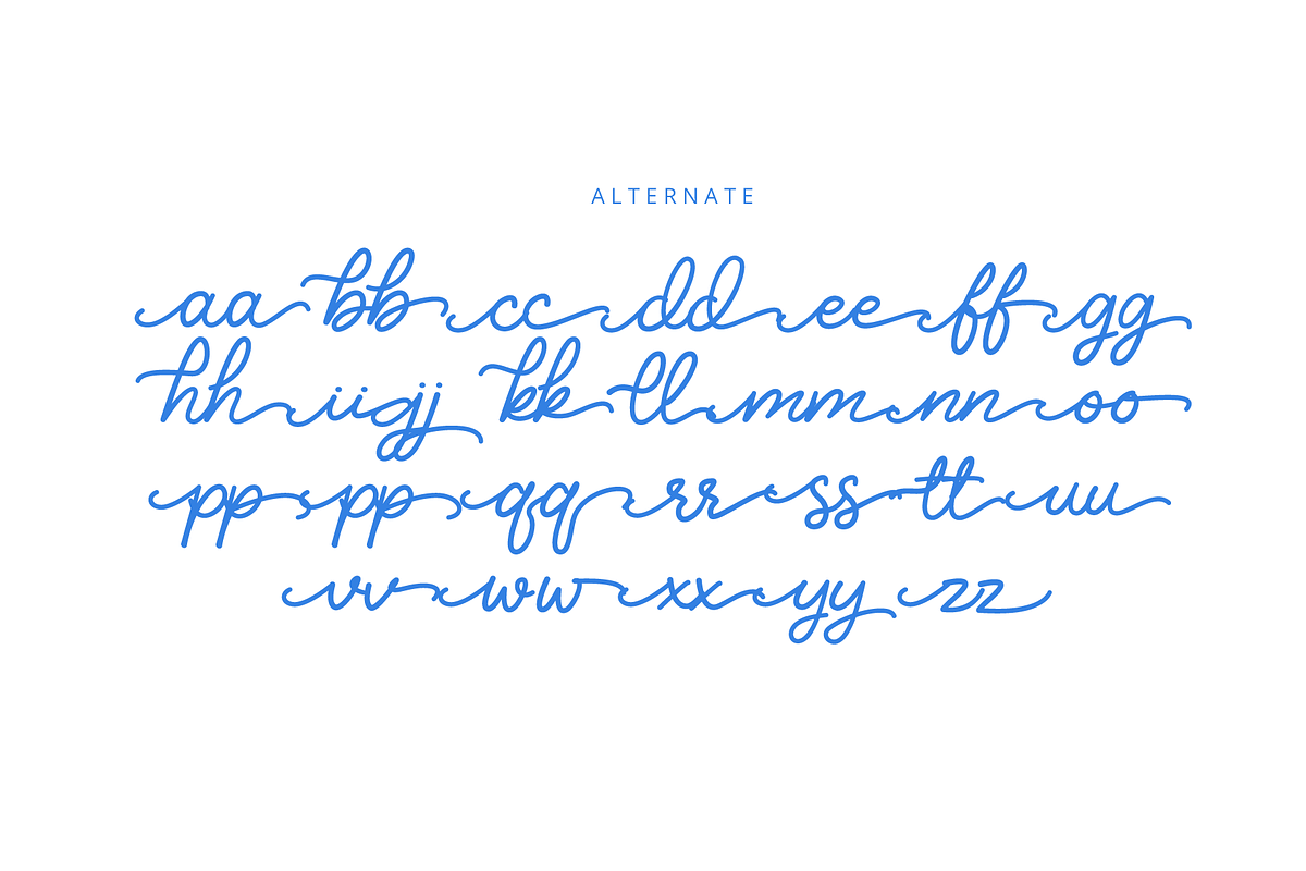 The Crafty Script, a Script Font by Muwatta Studio (Photo 9 of 10)