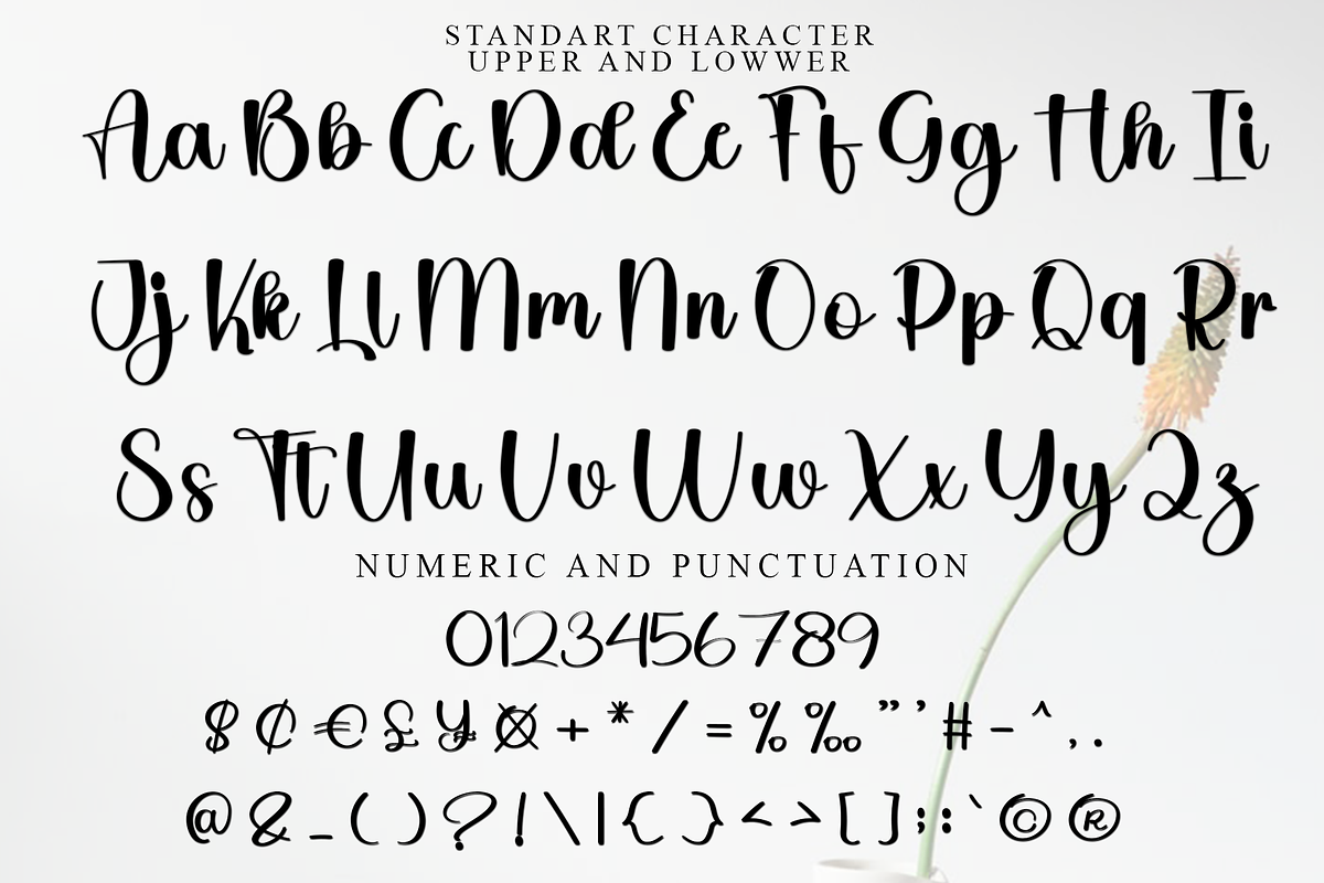 Monday Sunrise, a Handwritten Font by FreshTypeINK (Photo 3 of 7)