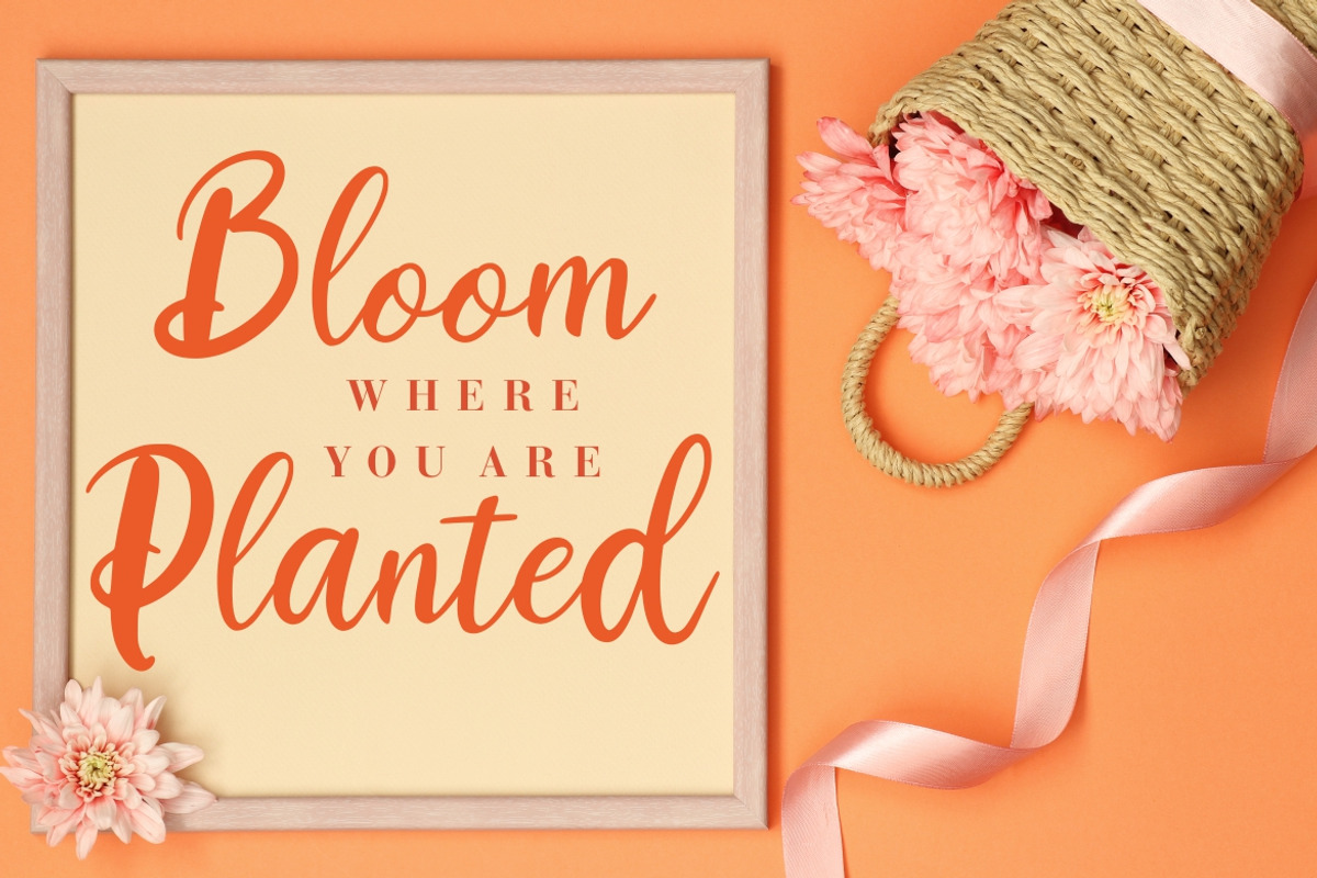 Magdalyn Modern Wedding Font preview 5