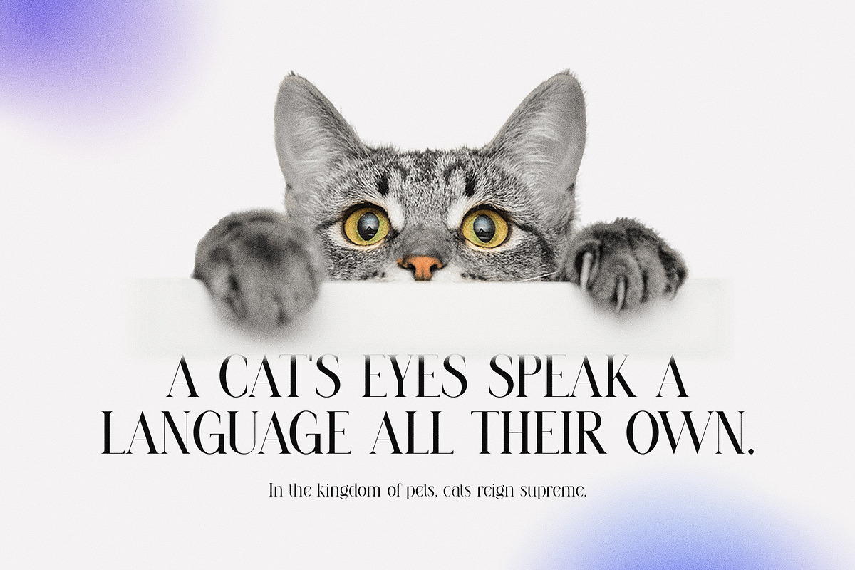 Hugand Minimalist Serif Font, a Serif Font by Graphicxell (Photo 6 of 10)