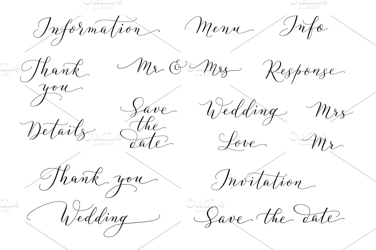 Collection of Wedding calligraphy, a Decorative Illustration by Olga Proz (Photo 2 of 8)