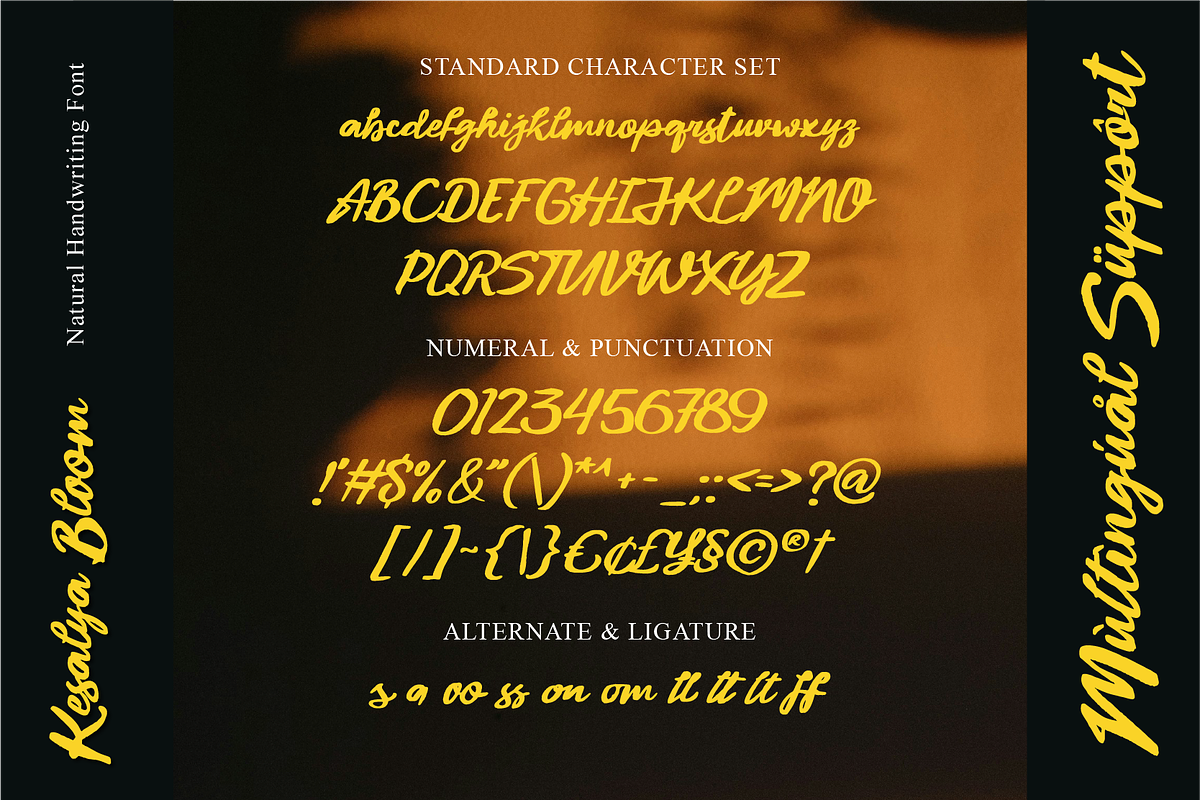 Vintage Light Natural Handwriting, a Font by Ronny Studio (Photo 9 of 9)