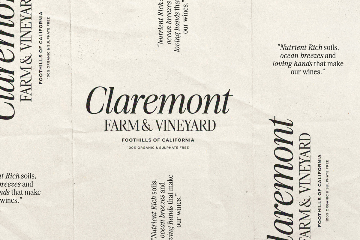The Very Vogue Serif Family, a Serif Font by Nicky Laatz (Photo 17 of 37)