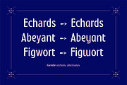 Montagna LTD, a Sans Serif Font by Hederae Type Foundry (Thumbnail 9 of 20)