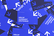 Molia - Sans Serif Font, a Sans Serif Font by limitype (Thumbnail 12 of 12)