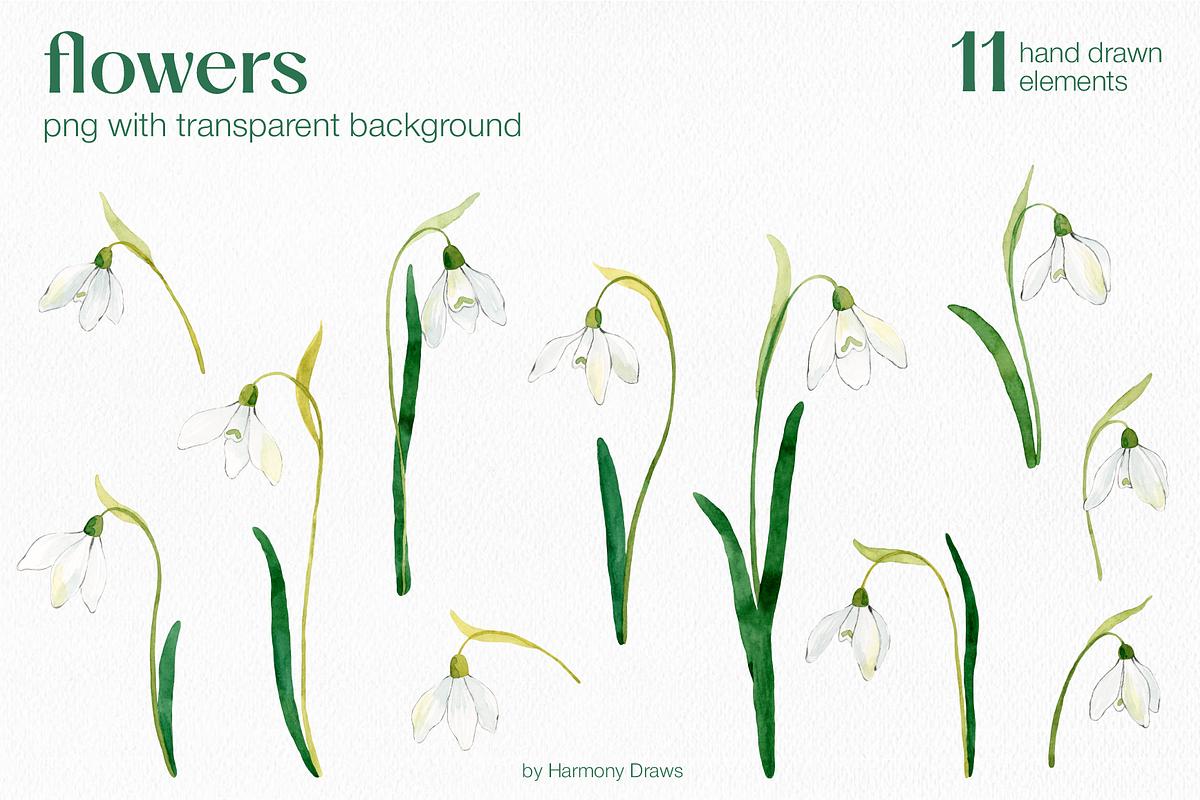 Spring Snowdrops Flowers Collection, an Object Illustration by Harmony Draws (Photo 2 of 9)
